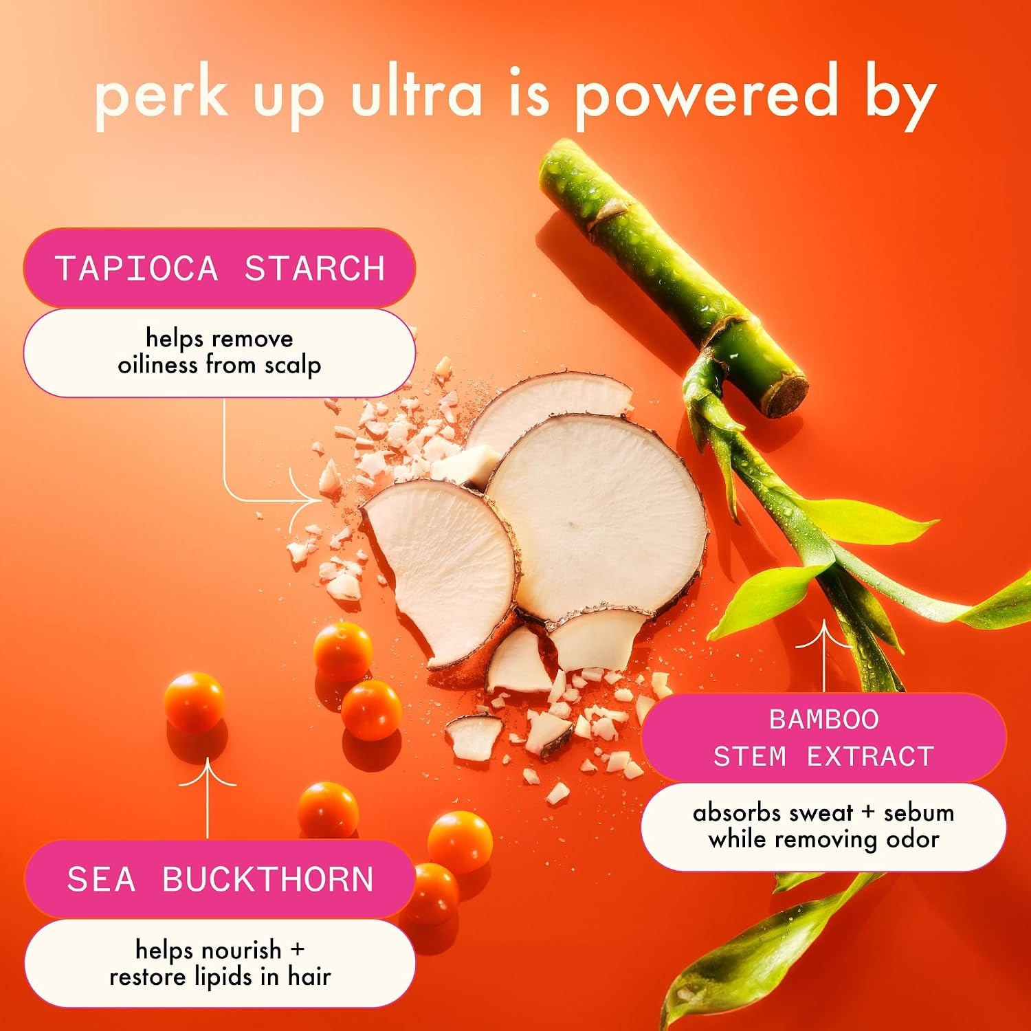 image:imageAmika Perk Up Ultra Oil Control Dry Shampoo25 Ounce Pack of 1