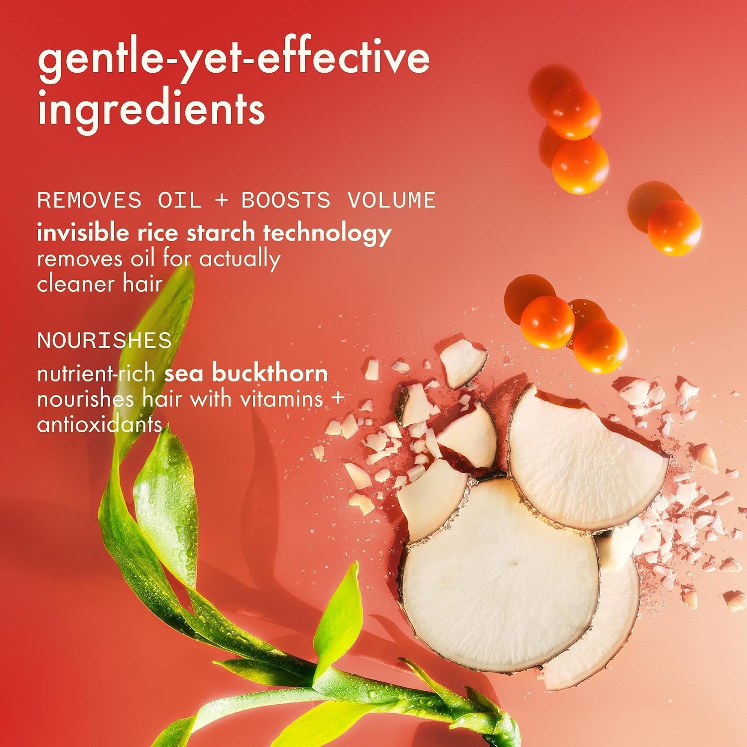 image:imageAmika perk up talcfree dry shampooguava granita